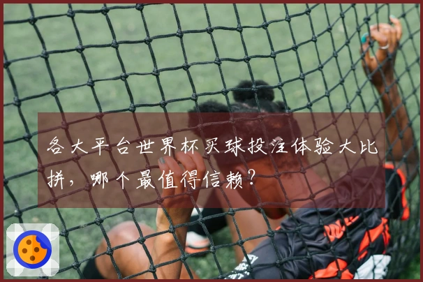 各大平台世界杯买球投注体验大比拼，哪个最值得信赖？