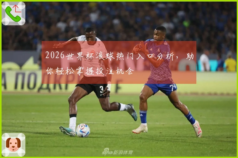 2026世界杯滚球热门入口分析，助你轻松掌握投注机会