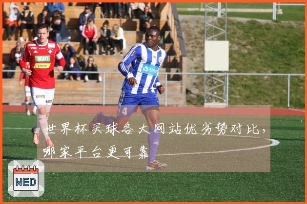 世界杯买球各大网站优劣势对比，哪家平台更可靠