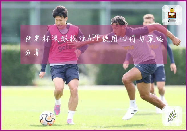 世界杯滚球投注APP使用心得与策略分享