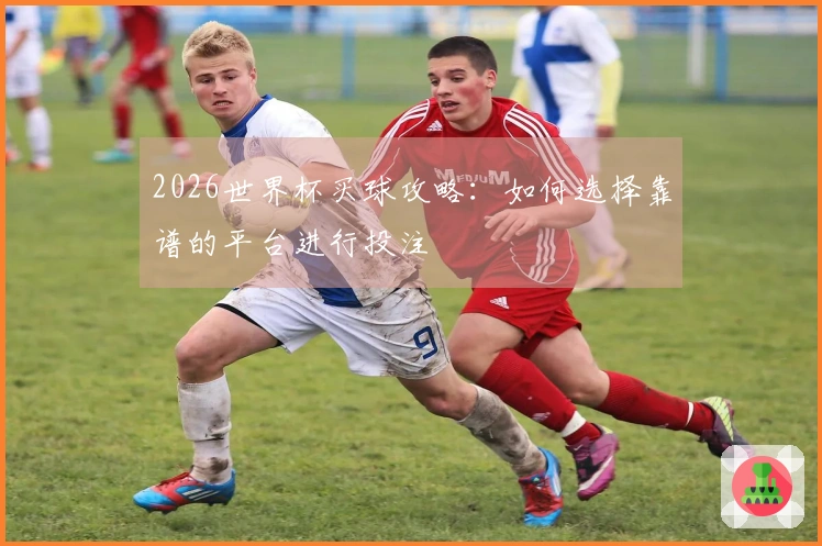 2026世界杯买球攻略：如何选择靠谱的平台进行投注