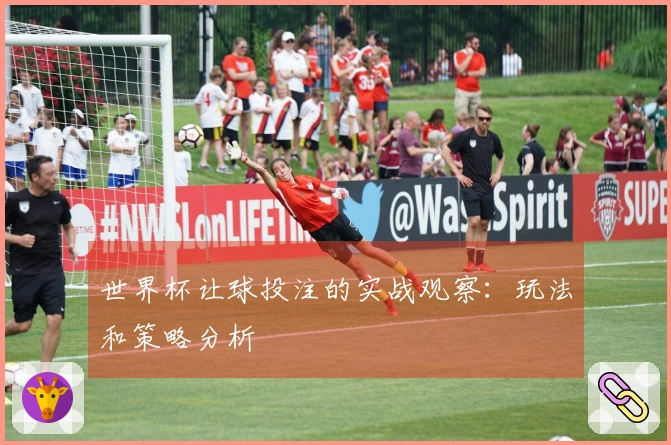 世界杯让球投注的实战观察：玩法和策略分析