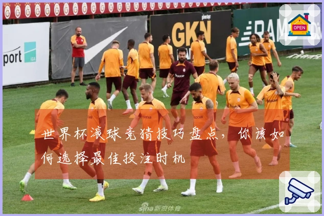 世界杯滚球竞猜技巧盘点，你该如何选择最佳投注时机