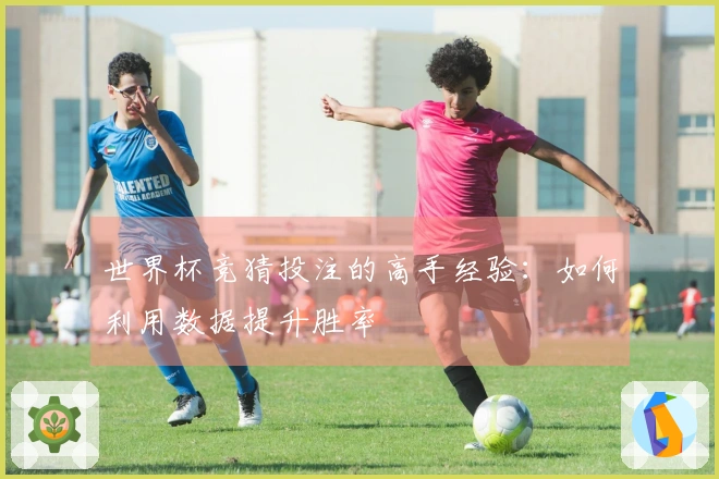 世界杯竞猜投注的高手经验：如何利用数据提升胜率